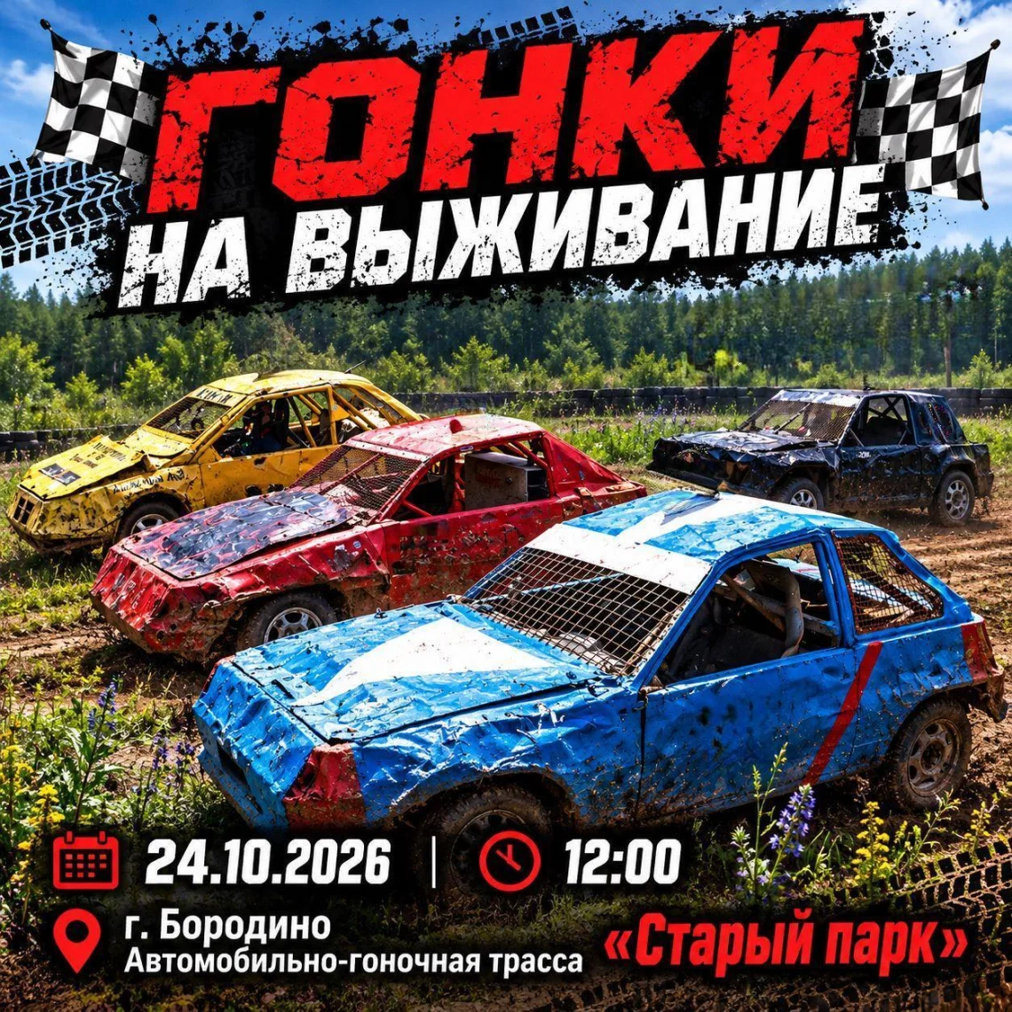 Мероприятие в г. Бородино